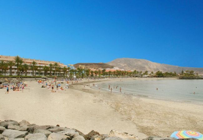 Apartamento en Playa de Las Americas - Playa Honda 1A008 Apartamento en Playa de Las Americas - Playa Honda 1A008