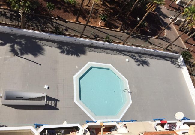 Apartamento en Playa de Las Americas - Playa Honda 1A008 Apartamento en Playa de Las Americas - Playa Honda 1A008