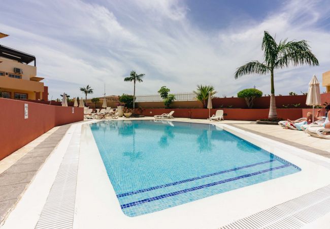 Apartamento en Costa Adeje - TERRAZAS DEL DUQUE II 4A001 Apartamento en Costa Adeje - TERRAZAS DEL DUQUE II 4A001