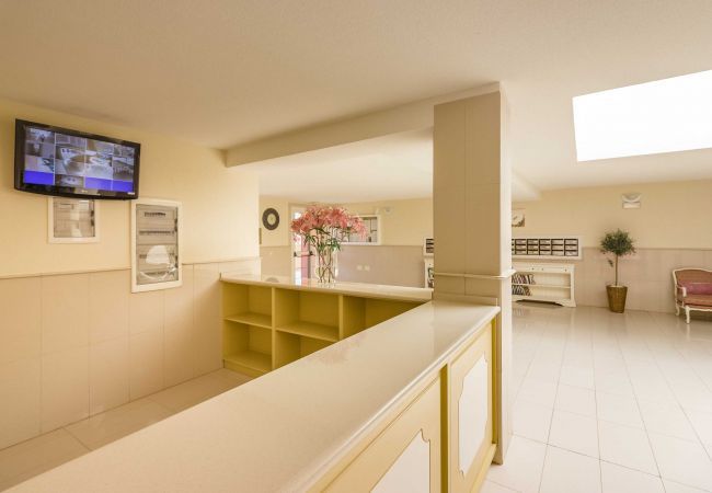 Apartamento en Costa Adeje - TERRAZAS DEL DUQUE II 4A001 Apartamento en Costa Adeje - TERRAZAS DEL DUQUE II 4A001