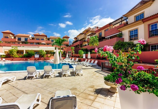 Apartamento en Costa Adeje - TERRAZAS DEL DUQUE II 3A001 Apartamento en Costa Adeje - TERRAZAS DEL DUQUE II 3A001