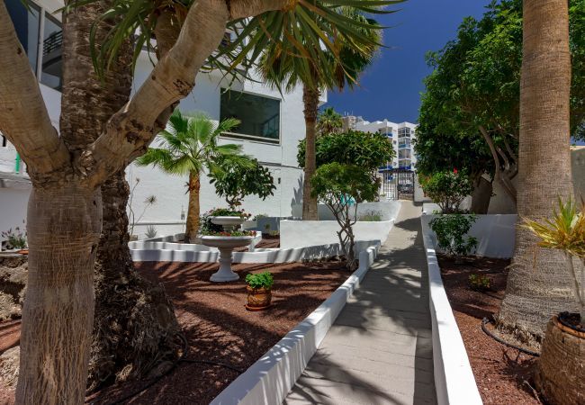 Apartamento en Los Cristianos - LA ESTRELLA 1A021 Apartamento en Los Cristianos - LA ESTRELLA 1A021