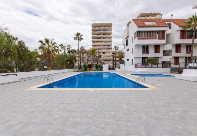 Apartamento en Playa de Las Americas - ALTEMAR 2A004 Apartamento en Playa de Las Americas - ALTEMAR 2A004