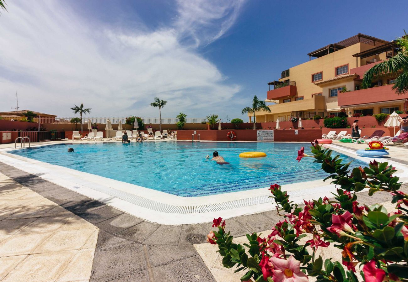 Apartamento en Costa Adeje - TERRAZAS DEL DUQUE II 4A001 Apartamento en Costa Adeje - TERRAZAS DEL DUQUE II 4A001