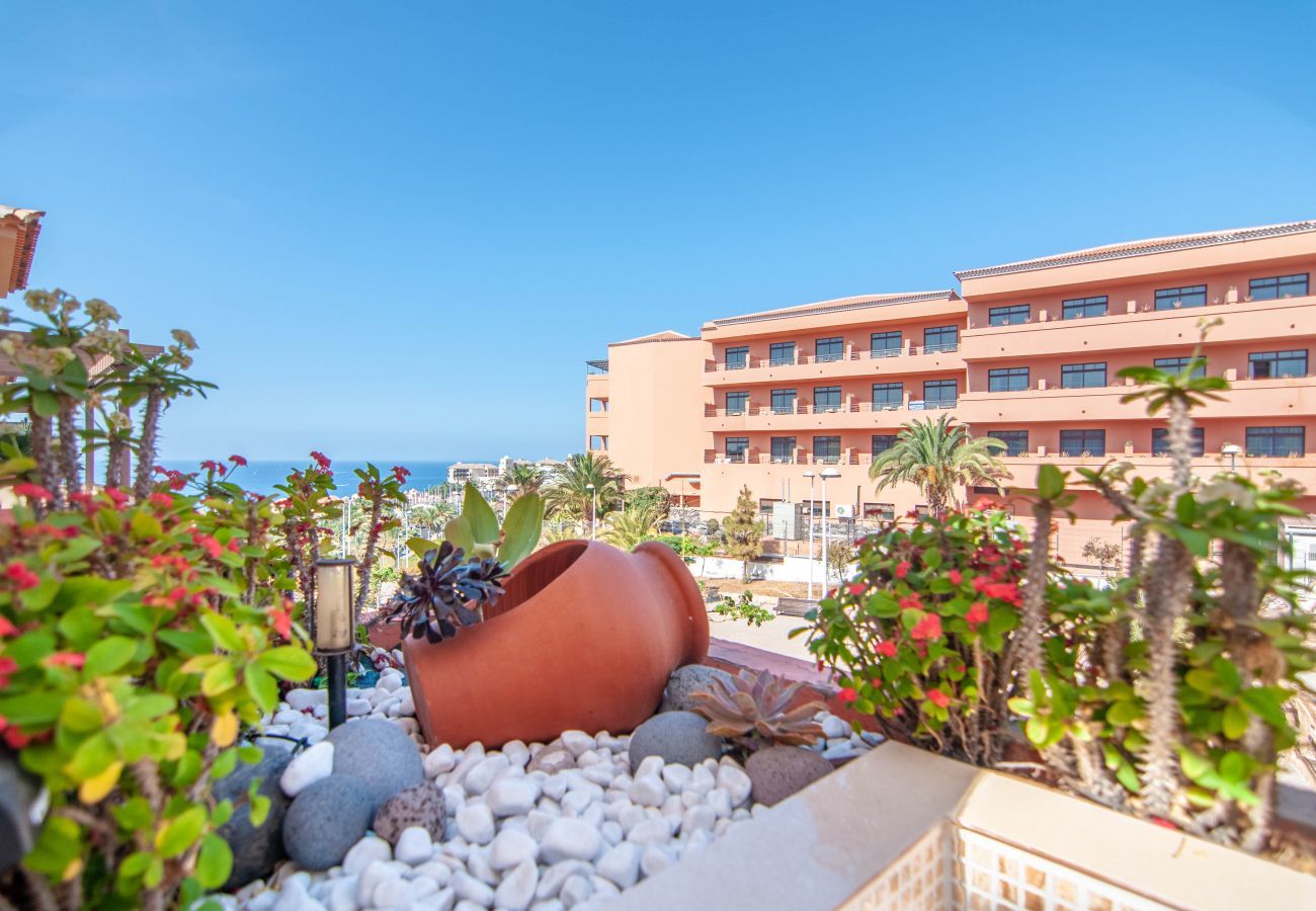 Apartamento en Costa Adeje - TERRAZAS DEL DUQUE II 4A001 Apartamento en Costa Adeje - TERRAZAS DEL DUQUE II 4A001