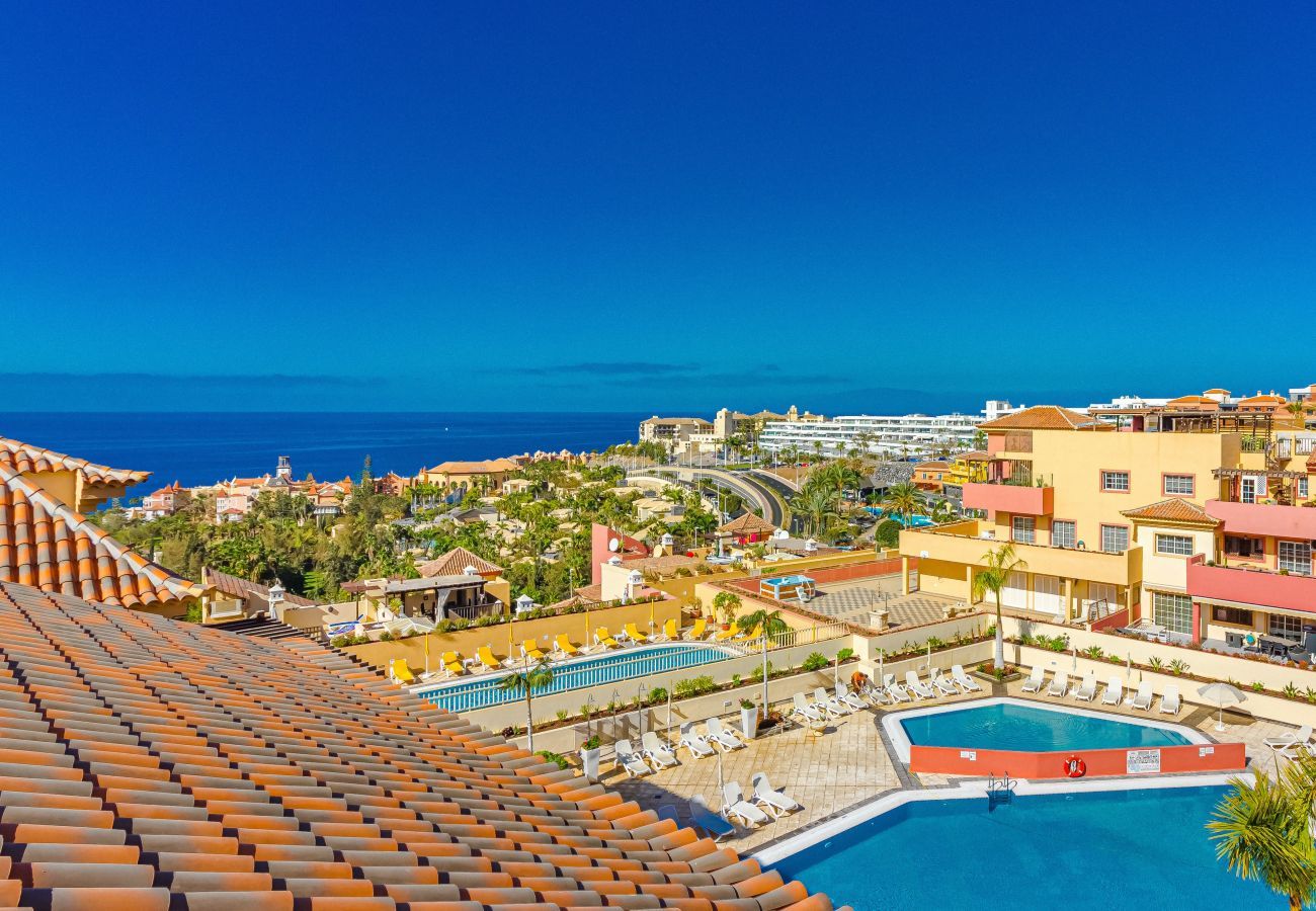 Apartamento en Costa Adeje - TERRAZAS DEL DUQUE II 3A001 Apartamento en Costa Adeje - TERRAZAS DEL DUQUE II 3A001