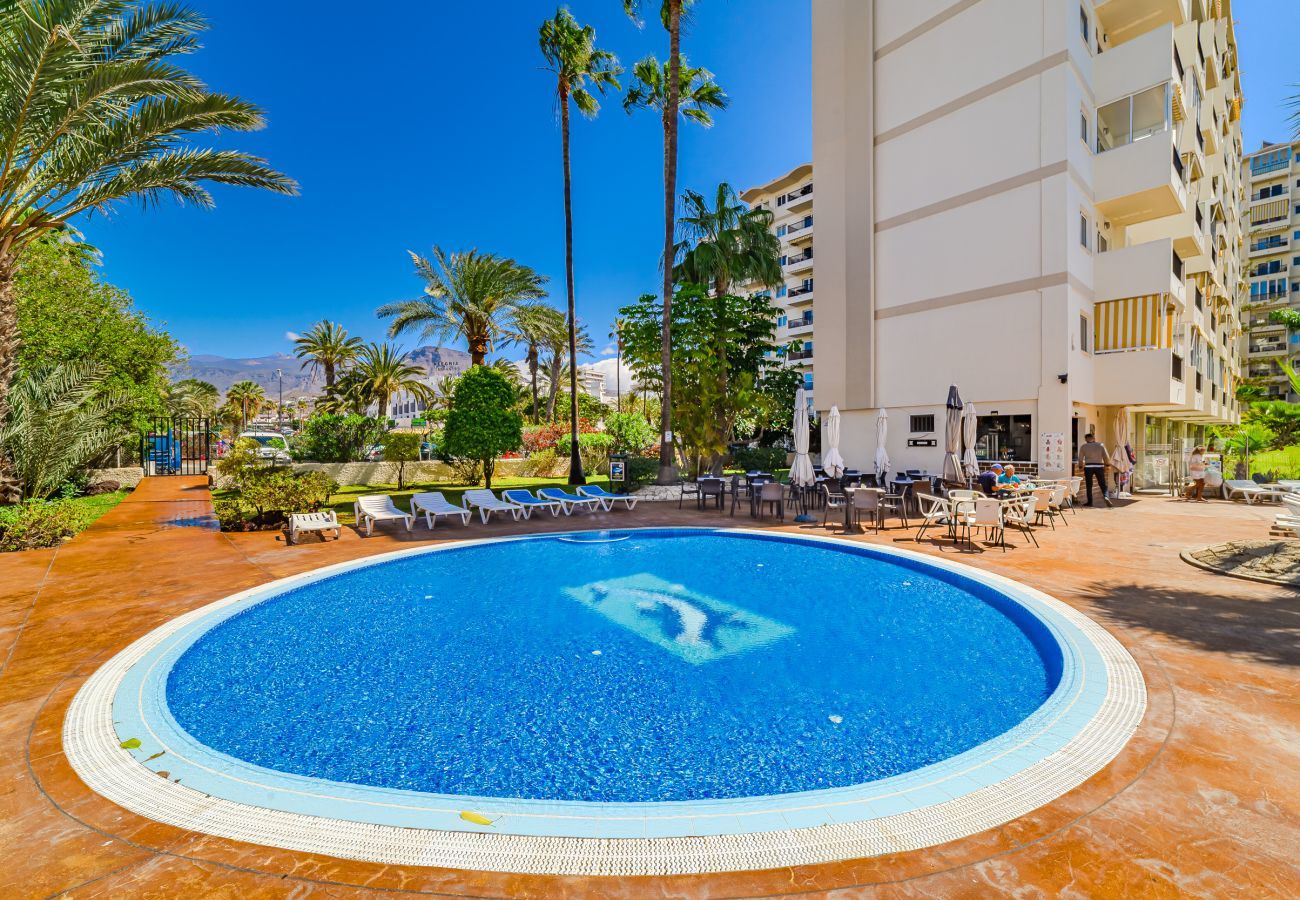 Apartamento en Playa de Las Americas - DORADO MAR Apartamento en Playa de Las Americas - DORADO MAR