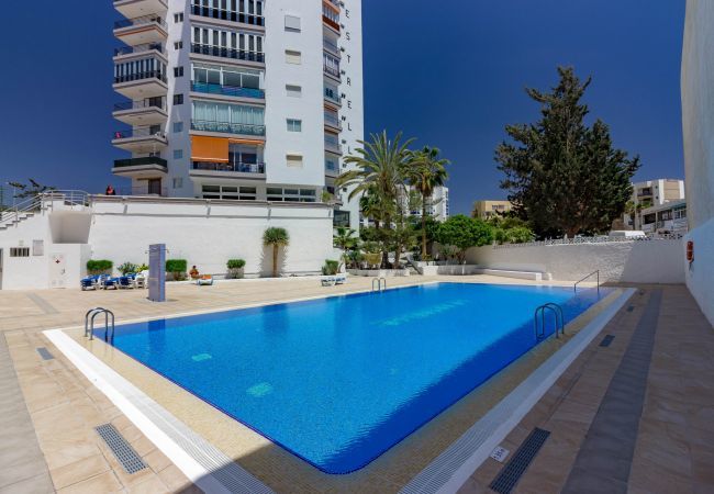 Ferienwohnung in Los Cristianos - LA ESTRELLA 1A020 Ferienwohnung in Los Cristianos - LA ESTRELLA 1A020