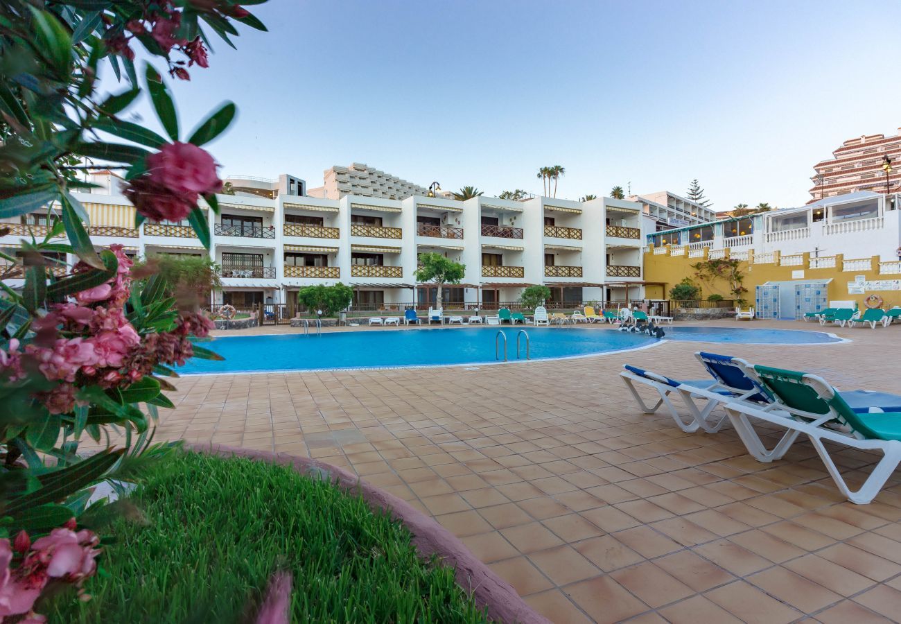 Ferienwohnung in Puerto de Santiago - NEPTUNO 1A019 Ferienwohnung in Puerto de Santiago - NEPTUNO 1A019