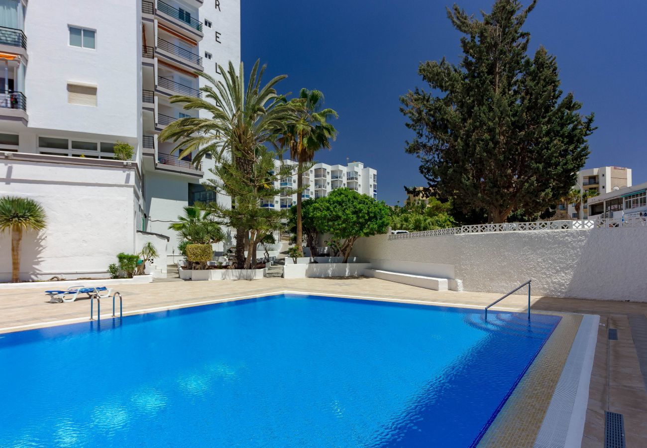 Ferienwohnung in Los Cristianos - LA ESTRELLA 1A021 Ferienwohnung in Los Cristianos - LA ESTRELLA 1A021