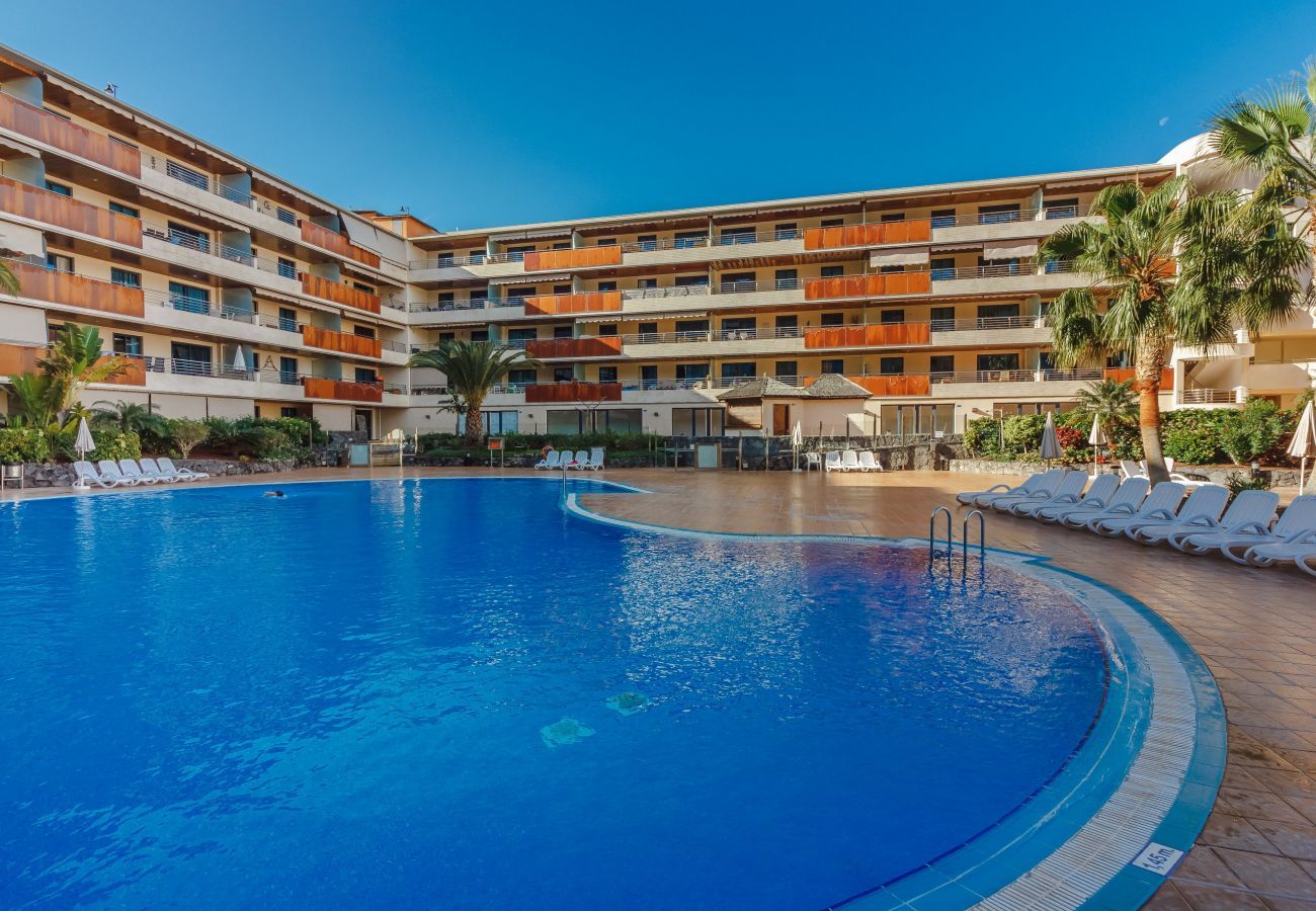 Ferienwohnung in Acantilados de Los Gigantes - Balcon de Los Gigantes 2A037 Ferienwohnung in Acantilados de Los Gigantes - Balcon de Los Gigantes 2A037