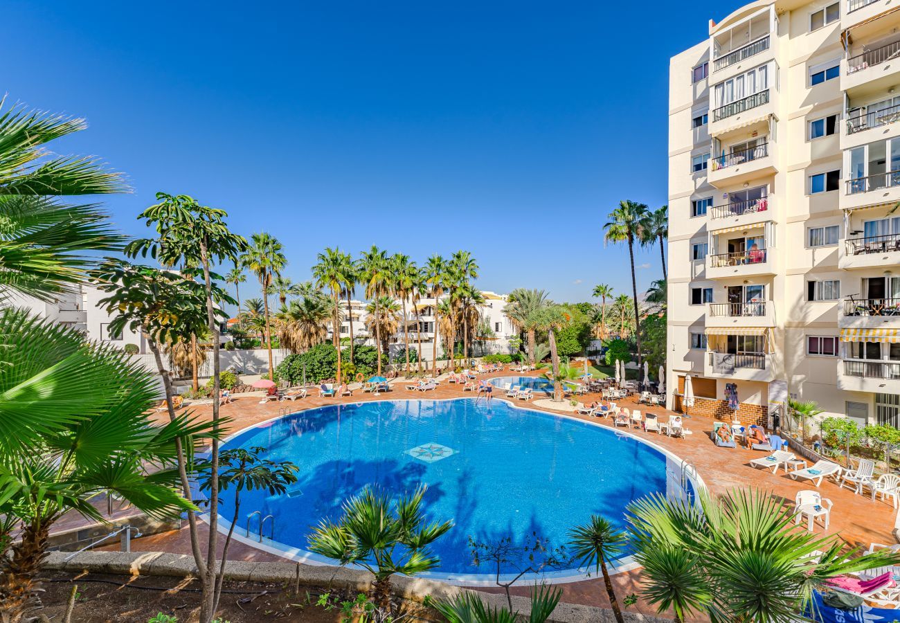 Ferienwohnung in Playa de Las Americas - DORADO MAR Ferienwohnung in Playa de Las Americas - DORADO MAR