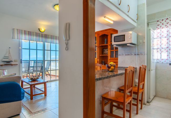 Apartment in La Caleta - Atico La Caleta 2A034 Apartment in La Caleta - Atico La Caleta 2A034