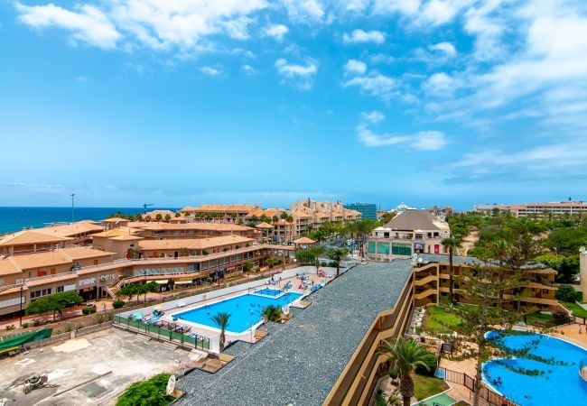 Studio à Playa de Las Americas - TORRES DEL SOL O004 Studio à Playa de Las Americas - TORRES DEL SOL O004