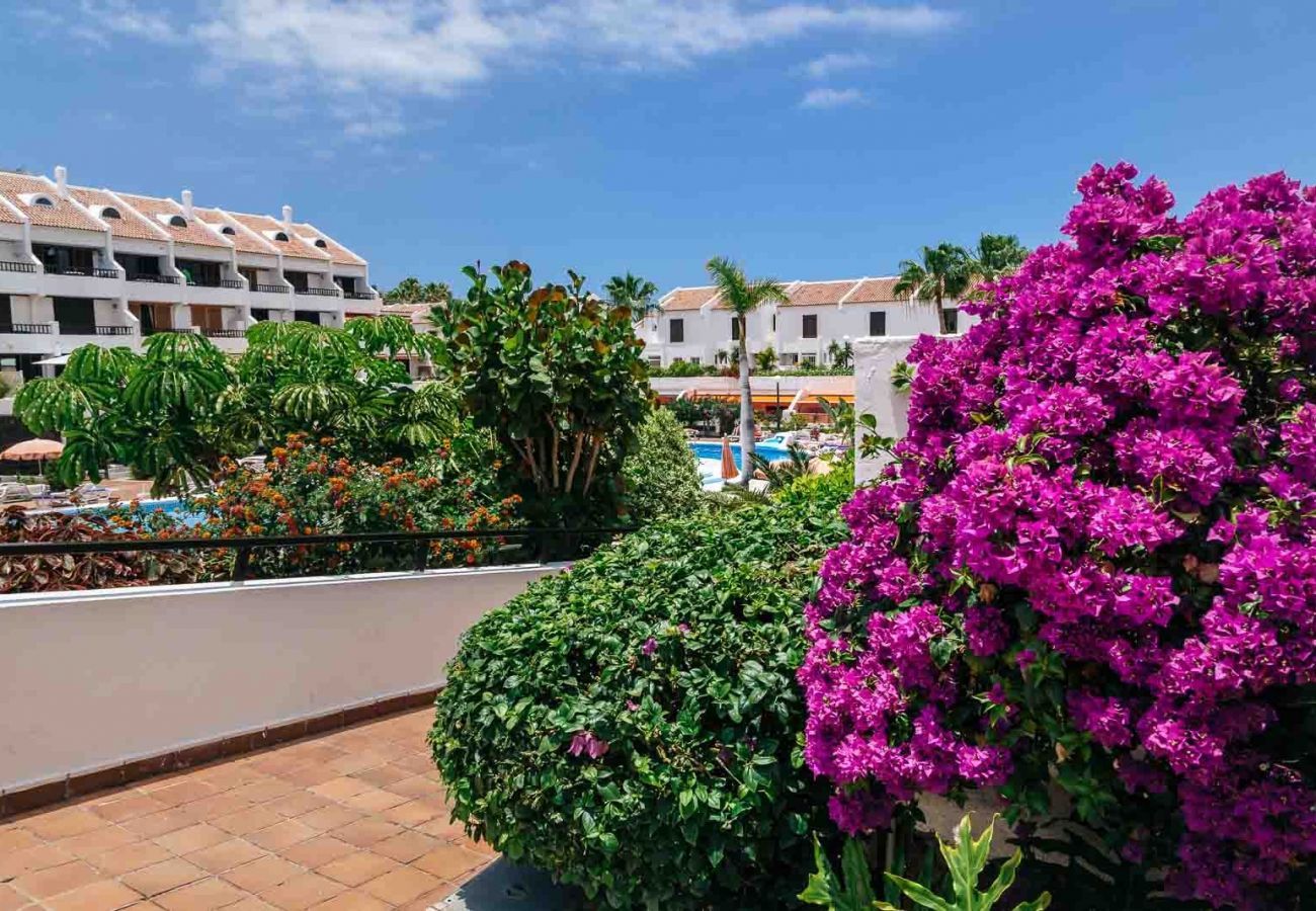 Studio à Playa de Las Americas - STUDIO PARQUE SANTIAGO I Studio à Playa de Las Americas - STUDIO PARQUE SANTIAGO I