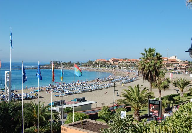Appartamento a Playa de Las Americas - EL CARDON 1A003 Appartamento a Playa de Las Americas - EL CARDON 1A003