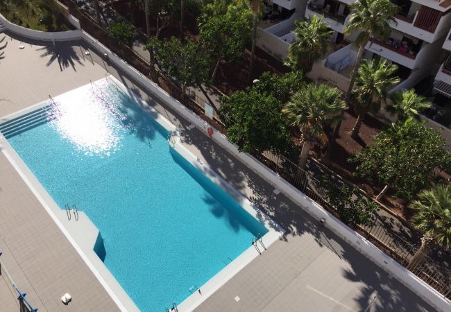 Апартаменты на Playa de Las Americas - Playa Honda 1A008 Апартаменты на Playa de Las Americas - Playa Honda 1A008
