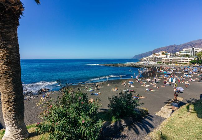 Апартаменты на Puerto de Santiago - PRINCESA ISORA 2A010 Апартаменты на Puerto de Santiago - PRINCESA ISORA 2A010