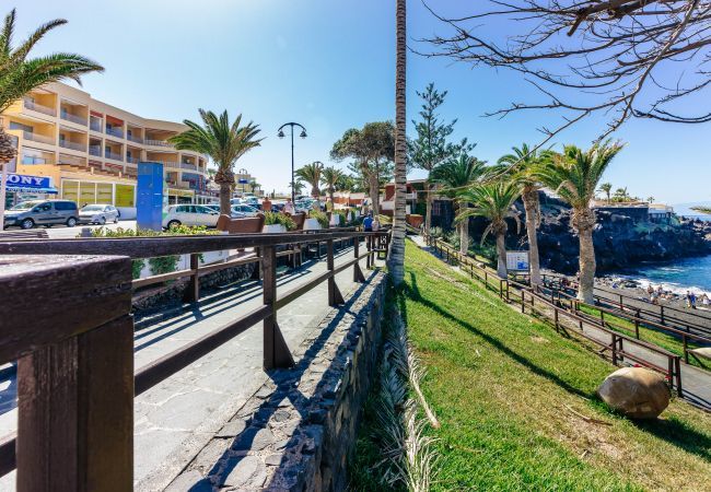Апартаменты на Puerto de Santiago - PRINCESA ISORA 2A010 Апартаменты на Puerto de Santiago - PRINCESA ISORA 2A010