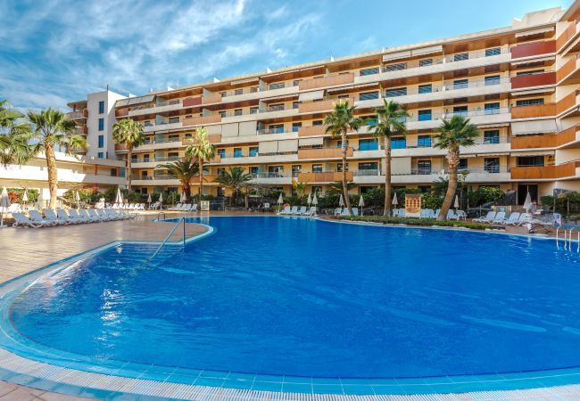 Апартаменты на Acantilados de Los Gigantes - Balcon de Los Gigantes 2A037 Апартаменты на Acantilados de Los Gigantes - Balcon de Los Gigantes 2A037