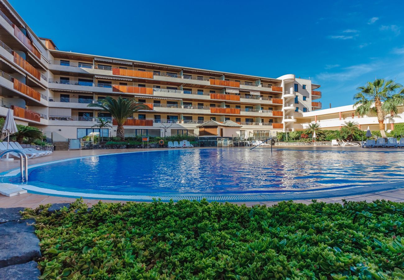 Апартаменты на Acantilados de Los Gigantes - Balcon de Los Gigantes 2A037 Апартаменты на Acantilados de Los Gigantes - Balcon de Los Gigantes 2A037